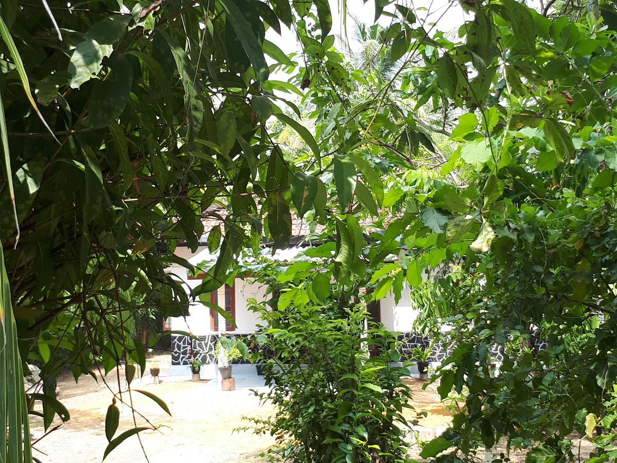 New Sam Tourist Inn فيليغاما المظهر الخارجي الصورة