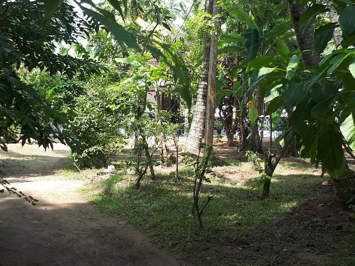 New Sam Tourist Inn فيليغاما المظهر الخارجي الصورة